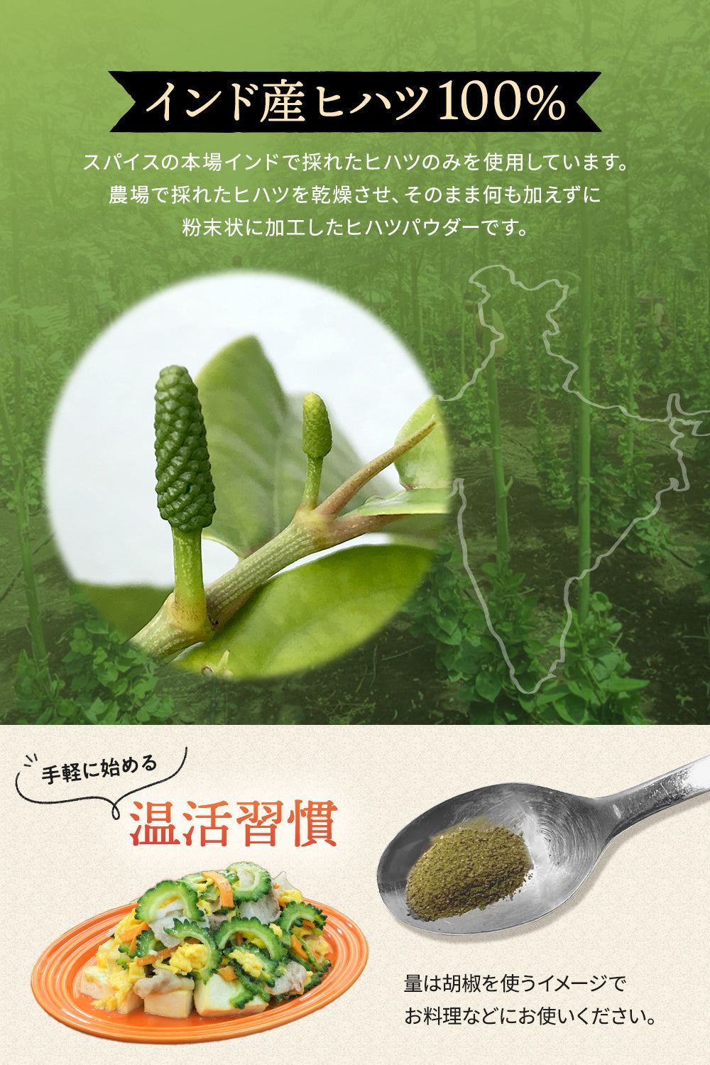 彩輪商店 ヒハツ パウダー 無添加 100% インド産 ロングペッパー 粉末 胡椒 100g コショウ チャック付き