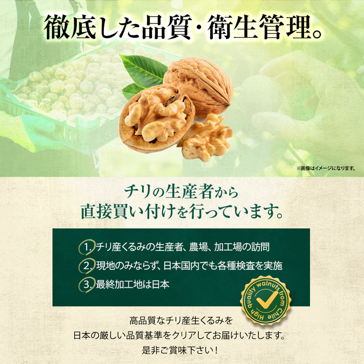 生くるみ 1個