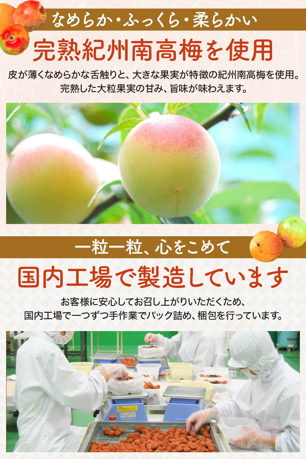 りんご酢 梅干し 完熟南高梅 [ さっぱりした甘さ 塩分3％ 減塩 ] 大粒 紀州南高梅 国産 高級 低塩 400g