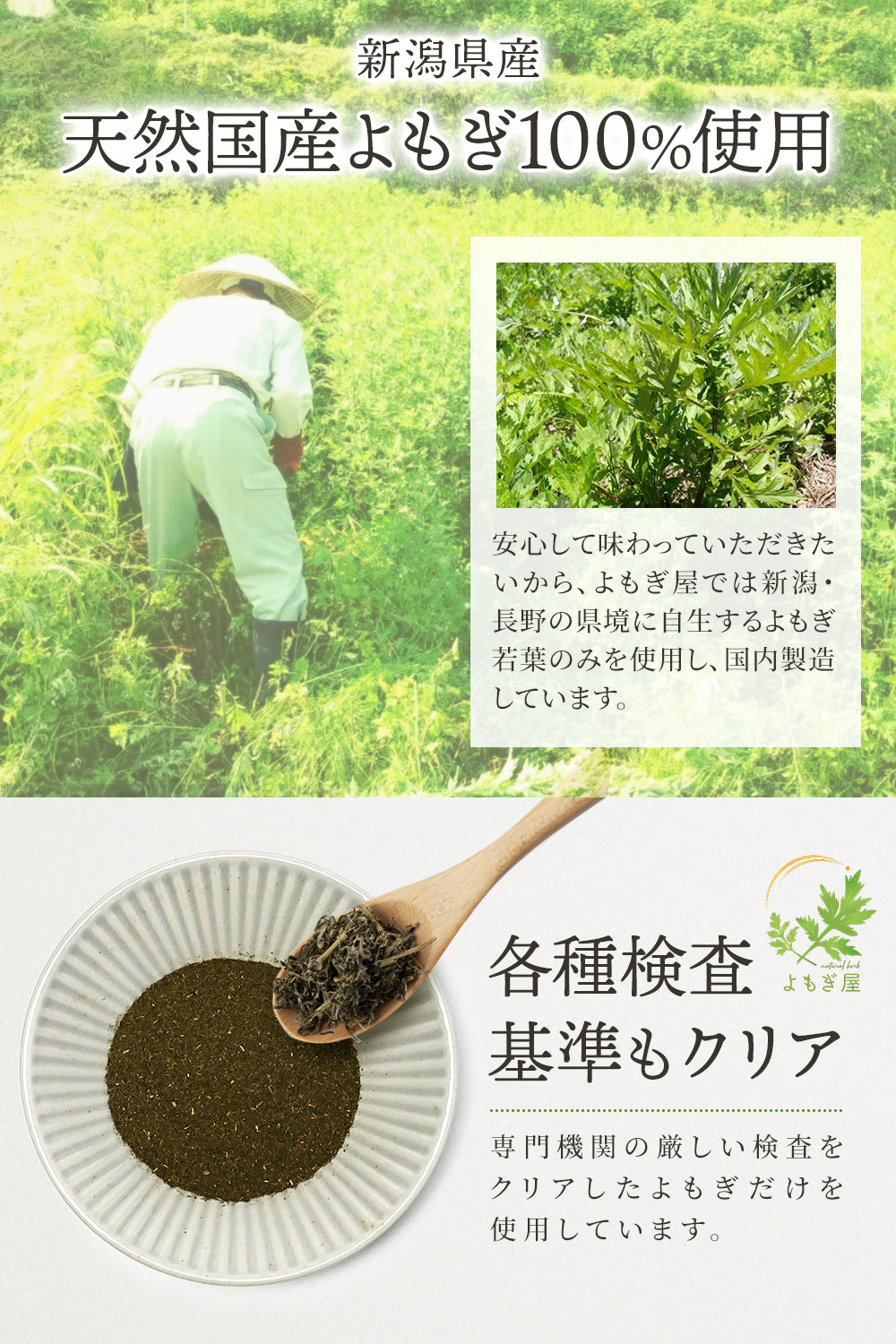 よもぎ茶 国産 [ 新潟県 天然よもぎ使用 ] ティーバッグ 低温焙煎 ノンカフェイン ヨモギ茶 無添加 無農薬 健康茶 14包 チャック付き