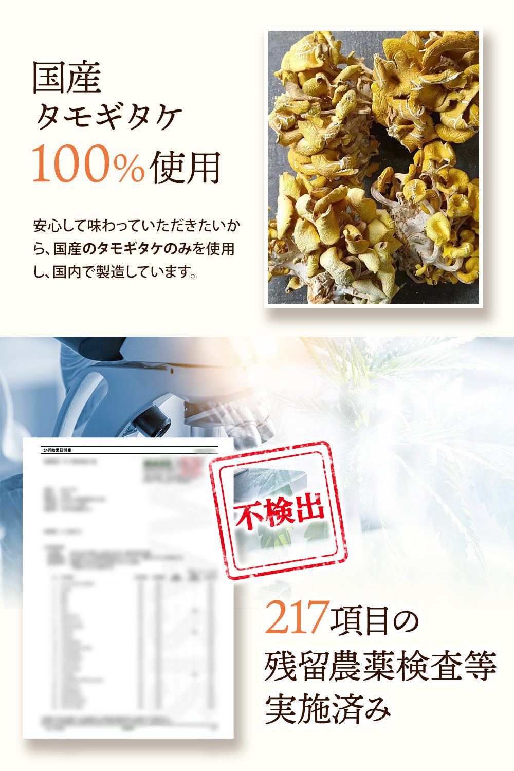 [ 管理栄養士監修 ] 彩輪商店 タモギタケ 国産100％ たもぎ茸 粉末 タモギダケ パウダー 50g エルゴチオネイン タモギ茸 チャック付き