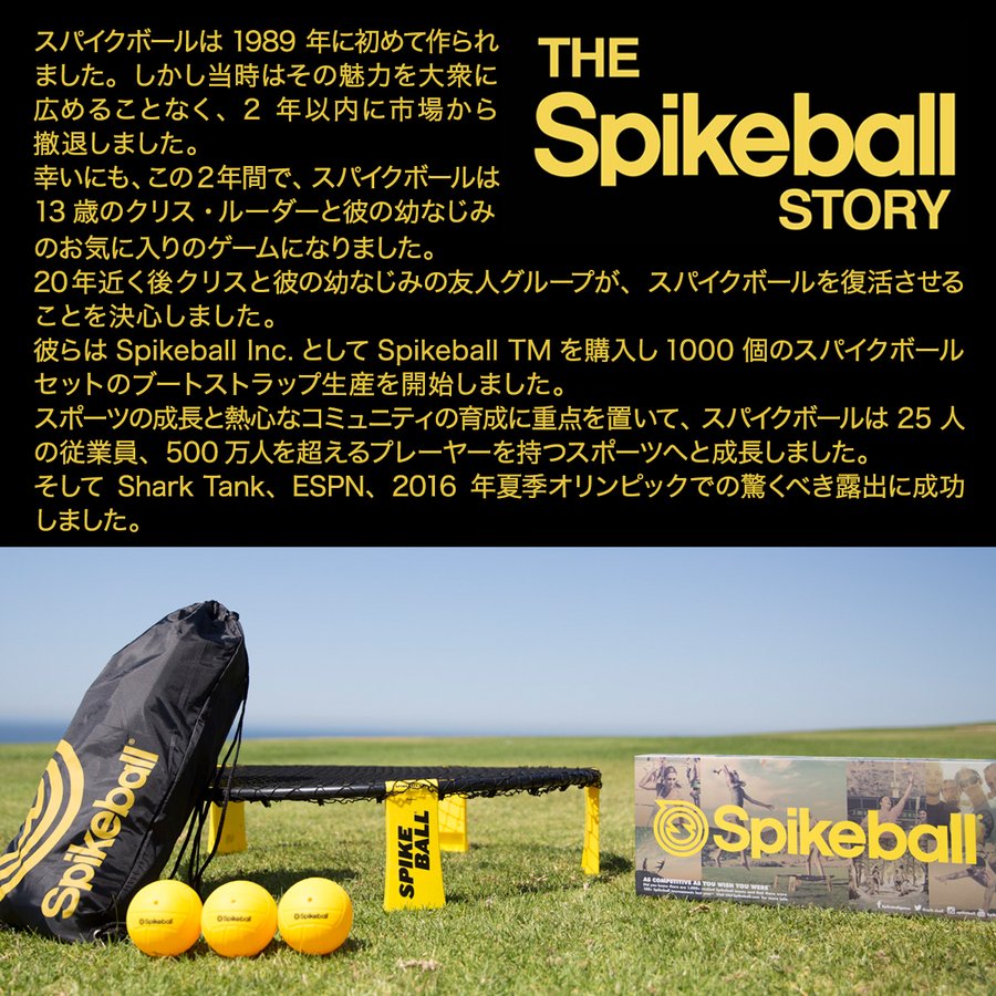 Spikeball スパイクボール スタンダードボール 公式ボール 2個セット