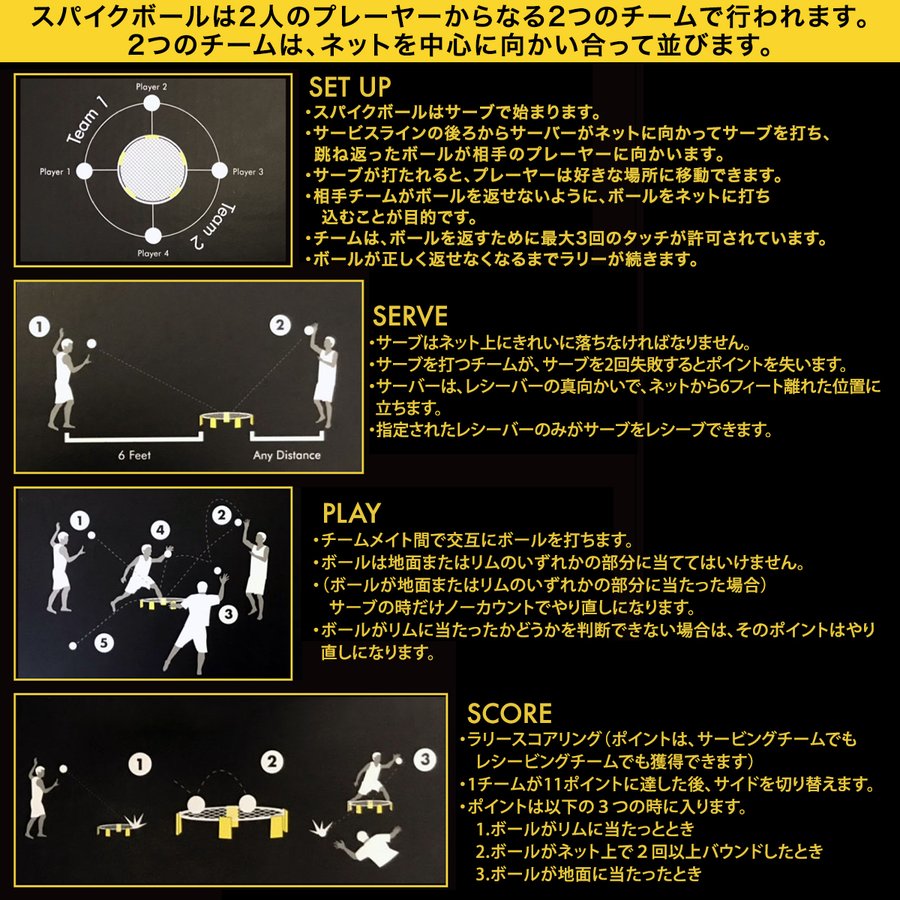 Spikeball スパイクボール スタンダードボール 公式ボール 2個セット